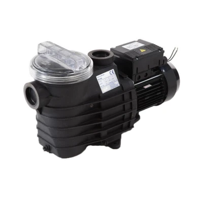 hayward_ep_pump_1_19